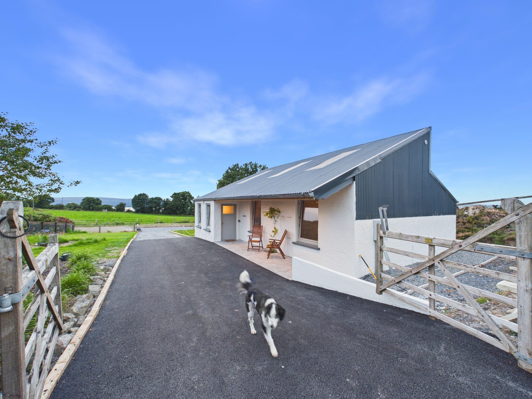 The Stables and its corrugated roofline, with the farm dog on the drive