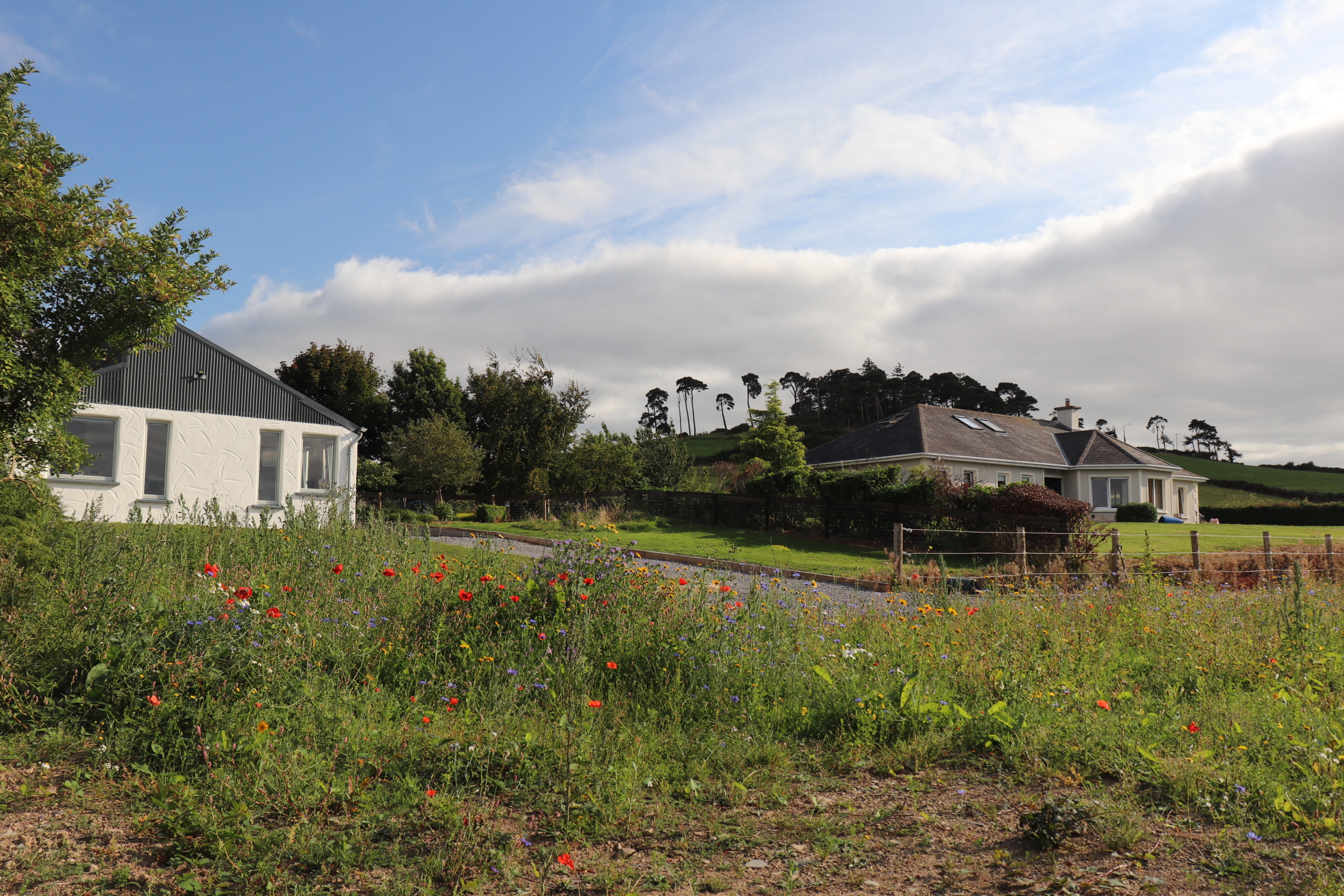 Two houses on one private site above Lough Derg, Co. Tipperary